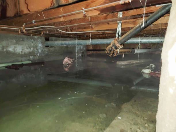 Best Water damage restoration specialists  in Sicklerville, NJ